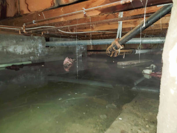 Water damage restoration insurance claims in KY