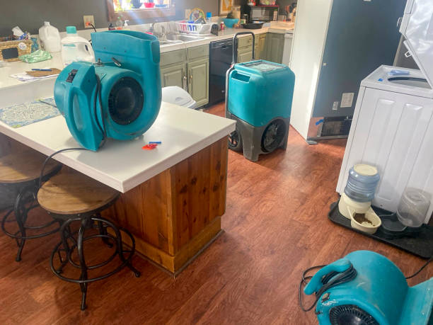Best Water damage contractors near me  in Wurtland, KY