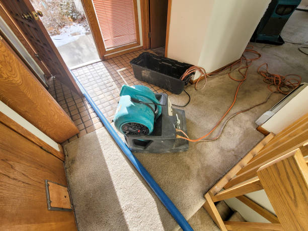 Best Ceiling water damage repair  in Wurtland, KY