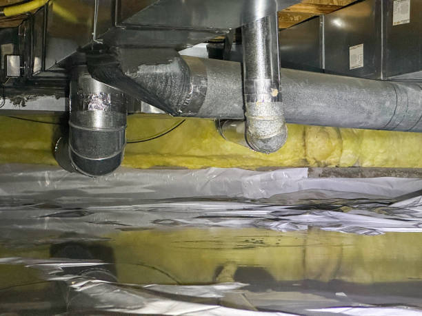Best Fire Damage Restoration  in Wurtland, KY
